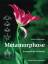 Andreas Suchantke: Metamorphose - Kunstg