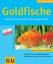 Goldfische faszinierend & pflegeleicht