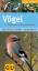 Vögel