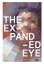 Bice Curiger: The expanded eye. Stalking