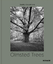 Tom Avermaete: Olmsted Trees