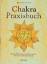 Kalashatra Govinda: Chakra-Praxisbuch: S