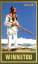 Karl May: Winnetou. Erster Band - Band 7