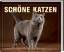 Catherine Davidson: Schöne Katzen - OVP