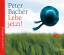 Peter Bachér: Lebe jetzt! (CD)