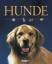 Amanda O`Neill: Hunde