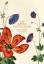 Das Grüne Florilegium – The Green Floril Das Grüne Florilegium – The Green Floril
