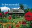 Hubert Matt-Willmatt, Clemens Emmler: Sc Hubert Matt-Willmatt, Clemens Emmler: Sc