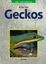 Astrid Falk: Geckos