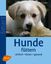 Anna Laukner: Hunde fuettern