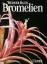 Bromelien - Tillandsien und andere kulturwürdige Bromelien