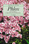 H FUCHS: Phlox - Stauden und Polsterphlo