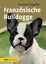 Annette Schmitt: Franzoesische Bulldogge