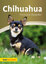 Annette Schmitt: Chihuahua