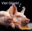 Stefanie Koch: Hundkatzemaus. Viel Glück Stefanie Koch: Hundkatzemaus. Viel Glück