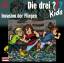 Ulf Blanck: Die Drei ??? Kids (Folge 3) 