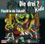 Die drei ??? Kids 05. Flucht in die Zuku