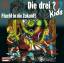 Ulf Blanck: Flucht in die Zukunft / Die Ulf Blanck: Flucht in die Zukunft / Die