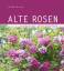 Gerda Nissen: Alte Rosen Gerda Nissen: Alte Rosen