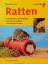 Felicitas Ingendahl: Ratten.