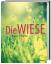 kremer,bruno p.: dfie wiese