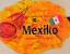 Annette Kolb: Mexiko