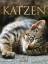 Claire Bessant: Katzen : Verhalten . Pfl