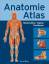 Anatomie- Atlas- Körperbau- Organe- Funk