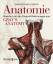 Anatomie - illustriert mit Original-Zeichnungen aus Gray's anatomy