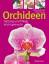 Rittershausen, Wilma und Brian: Orchidee