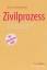 Kurt Schellhammer: Zivilprozess