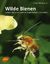 Heinz Wiesbauer: Wilde Bienen - Biologie