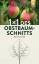 Rolf Heinzelmann: 1 x 1 des Obstbaumschn Rolf Heinzelmann: 1 x 1 des Obstbaumschn