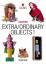 o. Angabe: Extra/Ordinary Objects 1 - bk