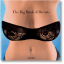 The Big Book of Breasts [Gebundene Ausga