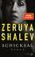 Zeruya Shalev: Schicksal - Roman