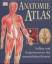 Anatomie-Atlas: Aufbau und Funktionsweis