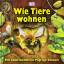 Wie Tiere wohnen - Mit spektakulären Pop