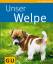 Katharina Schlegl-Kofler: Welpe, Unser