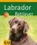 Katharina Schlegl-Kofler: Labrador Retri