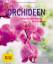 Kerstin Röllke: Orchideen : Pflegeleicht Kerstin Röllke: Orchideen : Pflegeleicht