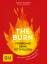 Haylie Pomroy: The Burn: Verbrenne deine