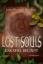 Weisman, Jordan und Mel Odom: Lost Souls