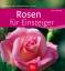 Ute Bauer: Rosen für Einsteiger - robust