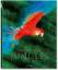 Frans Lanting: Jungles