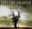 Jeffery Deaver: Allwissend