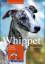 Marianne Bunyan: Whippet - [Charakter, E