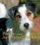 gebrauchtes Buch – Christiane Jantz – Parson- und Jack Russel Terrier – Bild 1