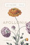 Annegret Held: Apollonia: Roman (Westerw