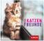 Joachim Groh: Für Katzenfreunde